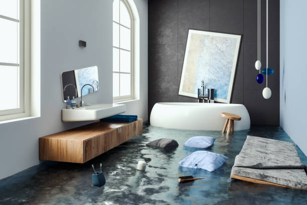 Carpet water damage restoration in WI