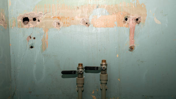 Best Carpet water damage restoration  in Neenah, WI