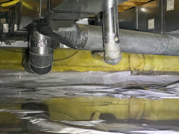 Best Basement water damage restoration  in Neenah, WI