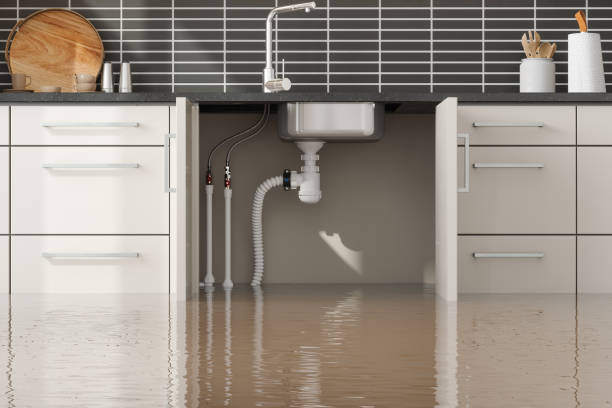 Best Mold removal after water damage  in Neenah, WI