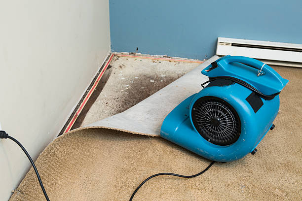 Best Flooded house restoration  in Neenah, WI
